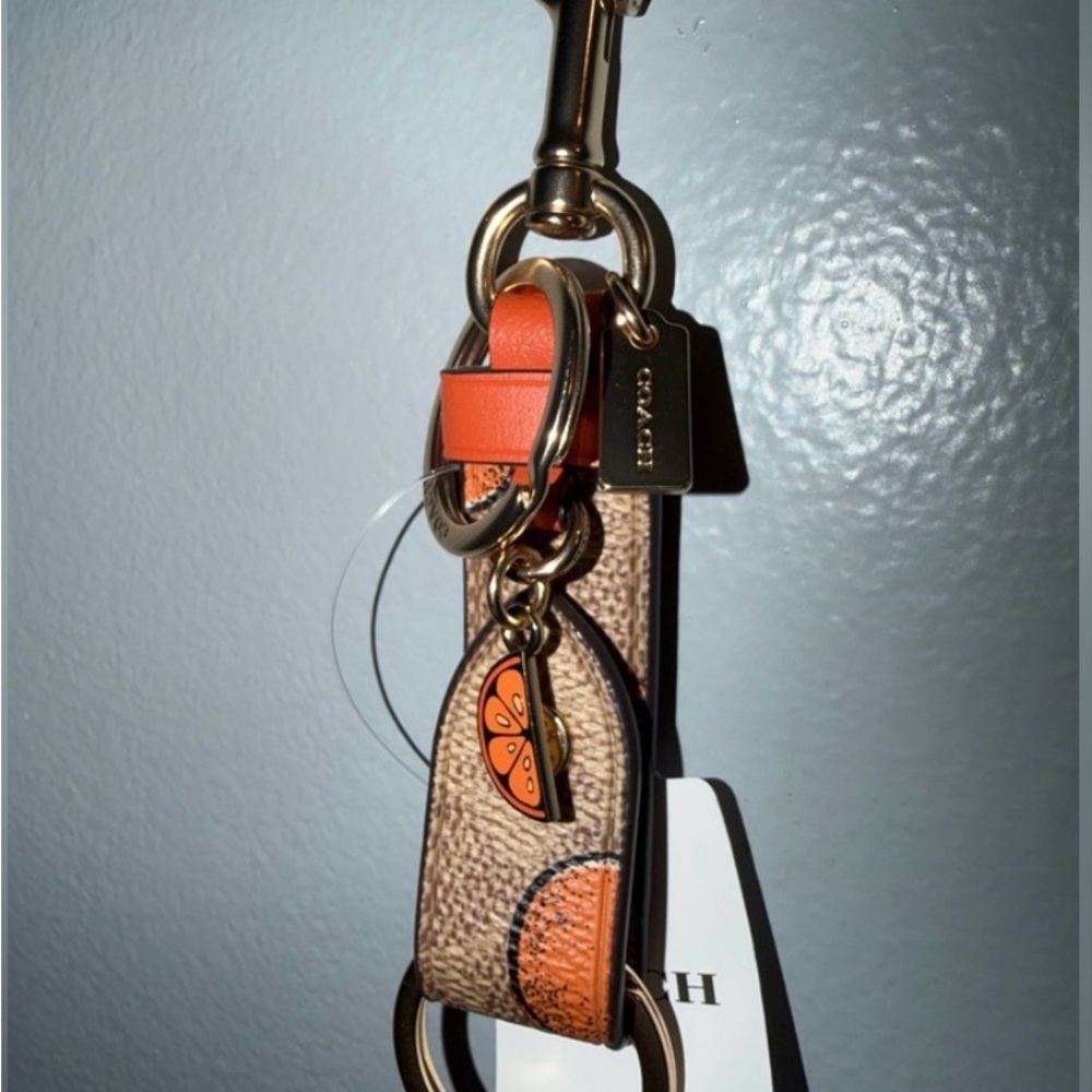 COACH TRIGGER SNAP BAG. SNAP BAG CHARM